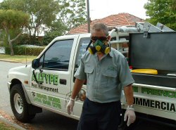 pest control services